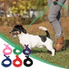 Hypeety 6 Pcs Bulk Pack Slip Leads Dog Pet Grooming