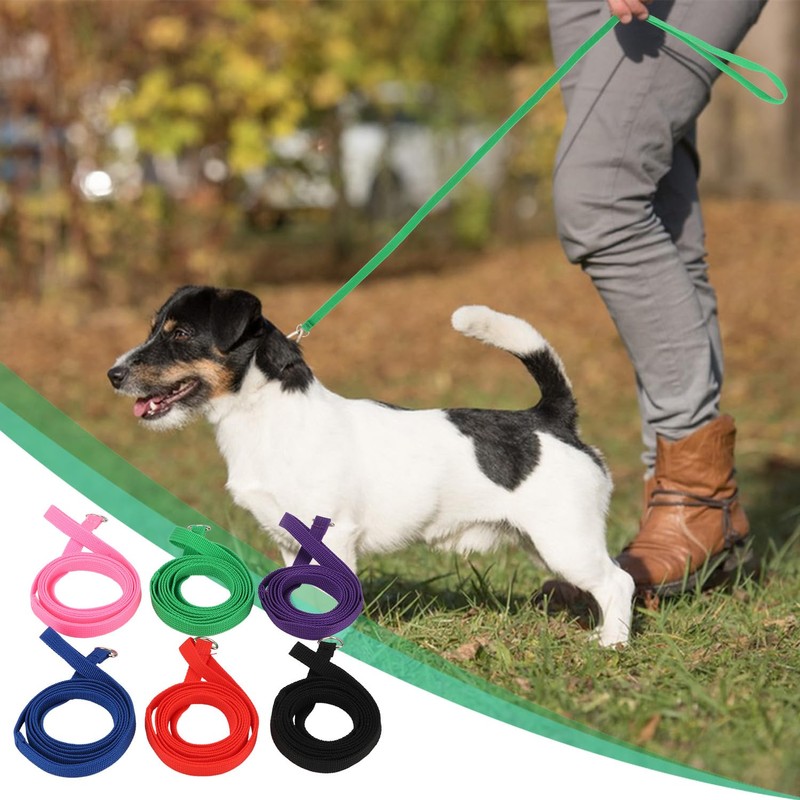Hypeety 6 Pcs Bulk Pack Slip Leads Dog Pet Grooming