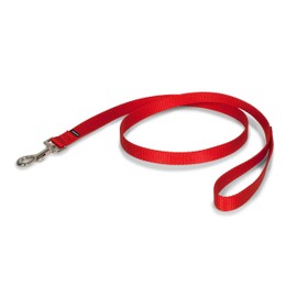 PetSafe Nylon Leash - Chew-Resistant Cat & Dog Behavioral Training Leash - Compatible with Easy-Walk Harness - Traditional-Style Reliable Pet Lead with a Padded Hand Wrap - 3/4" x 4' - Red