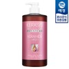 Kerasis [Aekyung] Kerasis Severe Damage Shampoo/Treatment 1L x1 - Treatment