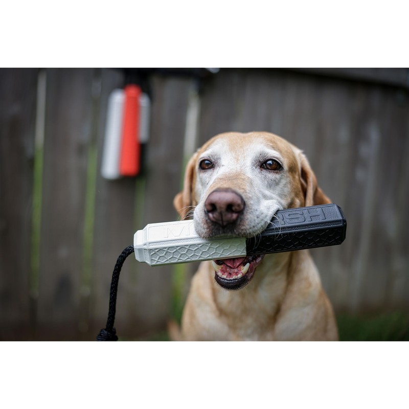 Momarsh Floating Dog Training Bumper, Flash PRO-Pack, Black/White, Medium, 3-Pack