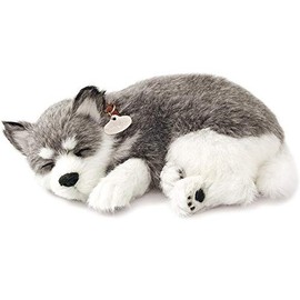 Perfect Petzzz - Original Petzzz Alaskan Husky, Realistic Lifelike Stuffed Interactive Pet Toy, Companion Pet Dog with 100% Handcrafted Synthetic Fur