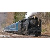 KATO N-Gauge D51 498 (with Auxiliary Lights) 2016-A, Railway Model,