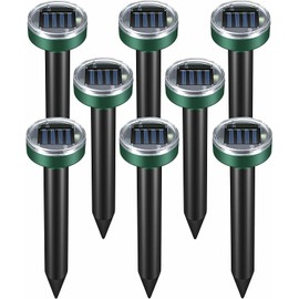 Fancy Linen Butterfly Purple Turquoise Pink Green White Sheet Set Girls/Teens/Adults New (Queen)