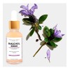 Bakuchiol Elixir En Gel Elimina Manchas Y Arrugas 35ml Tipo