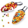 Rockland Guard Large Scoops Set - Ideal for Canisters, Ice