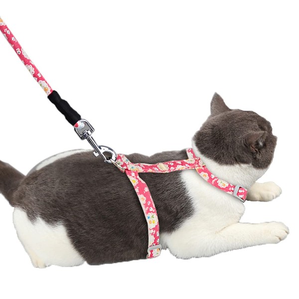 iNszkoos Cat Harness and Lead Set to Outdoor Walking, H-shaped