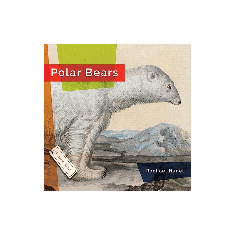Polar Bears (Living Wild)