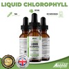 Liquid Chlorophyll Drops for Water - 60ml for 60 Servings