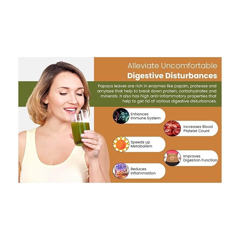 JMSS Agro Project Papaya Leaf Powder