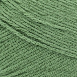 Lion Brand Yarn Libra de amor, hilo de valor, hilo grande para tejer y ganchillo, hilo artesanal, verde oliva
