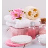 50-Count Compressed Facial Sponges for Daily Cleansing and Gentle Exfoliating,
