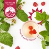 Raspberry Leaf Tea by Alpi Nature, 120 Raspberry Leaf Tea