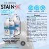 Stain-X Carpet and Upholstery Shampoo 24oz