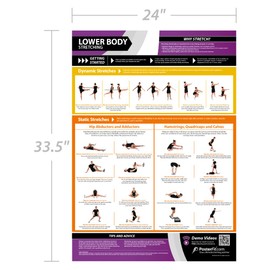 Lower Body Stretching | Dynamic & Static Stretches | Laminated Home & Gym Poster | FREE Online Video Training Support | Size - 33” x 23.5” | Improves Personal Fitness & Flexibility