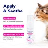 CeraSoothe® Pramoxine Anti-Itch Mousse 6.8oz