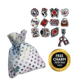 Timeline Treasures European Charm Bracelet Charms and Beads For Women, DIY Jewelry, Birthstone Red January July Ruby Garnet