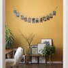 TFu Wall Hanging Photo Display, DIY Picture Photo Frame String