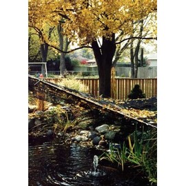 Dewitt PN302030 Deluxe Pond Protection Net, 20 X 30 Foot Size: 20'X30' Outdoo...