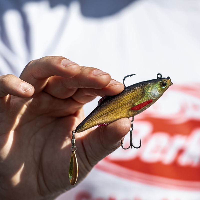 Berkley Pulse Realistic Roach Flash – Angelköder aus weichem Gummi