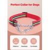 LOS ANDES Dog Choke Collar Martingale Collar with Limited Chain