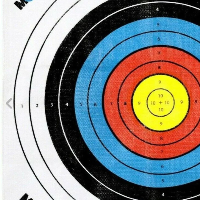 Morrell Targets Archery Target Face for Field Point Shooting Practice,
