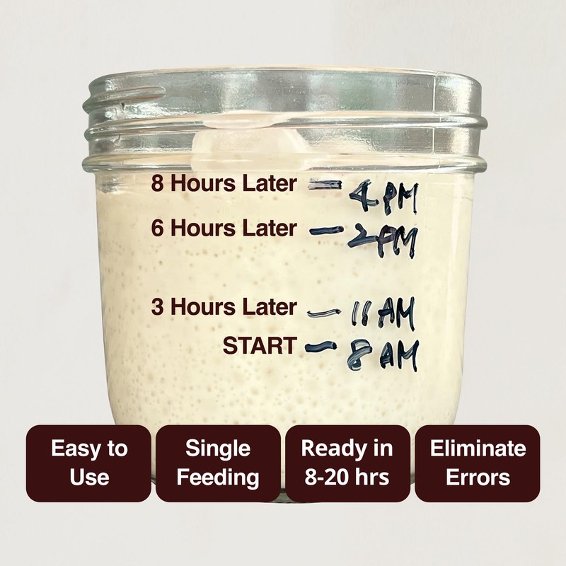 Sourdough Starter Culture (2 packet), Gluten Free Sourdough Starter Culture,