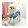 Pet Sweater Dress Small Dog Dress with Bow Female Girl