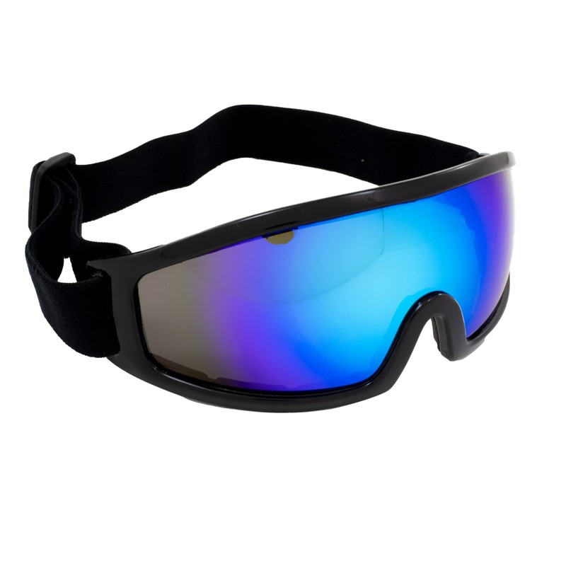 Birdz Eyewear Robin Sport Skydiving Snowboarding Motorcycle Riding Goggles Black