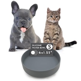 Should We Go? The Perfect Dish - Durable Dog Water Bowl - No Spill - Less Mess Non-Tippable Water & Food Bowl, Pure Silicone, Spill Proof with Suction Cup, Suitable for All Pets, Small-Charcoal