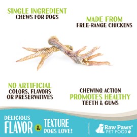 Raw Paws Dried Chicken Feet Dog Treats (50 Pack) - Packed in USA - Dehydrated Chicken Feet for Dogs - Natural, Single Ingredient Chews