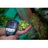 Oro Bailen Reserva Familiar Frantoio Cold Extracted Extra Virgin Olive