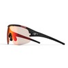 Tifosi SLEDGE M-XL Sunglasses