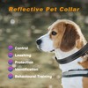 Reflective Dog Collar Nylon Collar Adjustable Pet Collar with Quick