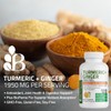 Bronson Turmeric + Ginger Extra Strength Joint Health & Digestion