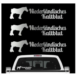 Siviwonder Dutch Cold Blood Sticker Set of 3 Horse Stickers Horse Riding Car Film, 30cm