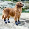 Payanwin Dog Boots, Waterproof and Non-Slip Dog Shoes, Adjustable Lacing/with