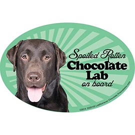Prismatix Decal Lab Retriever (Choc) Car Magnets: Spoiled Rotten Lab Retriever (Choc) - Oval 6" x 4" Auto/Truck/ Refrigerator/Mailbox (Funny Car Decals, Dog Magnet, Lab Retriever (Choc)