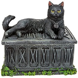 Nemesis Now B2808G6 Fortune's Watcher Tarot Box 17cm Black, Resin