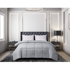 Blue Ridge Home Fashions Light Weight Solid Down Alternative All Season Comforter - Hypoallergenic Polyester Fill, King, Platinum
