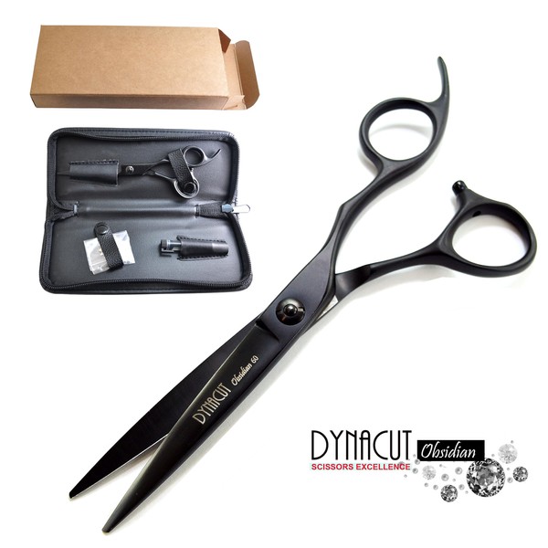 Professional Hair Scissors Salon Shears 6 Inch, Extremely Sharp 440C Blades, DynaCut Razor Sharp Haircutting Shears Hairdressing Scissors with Cleaning Oil and Leather Protection Sleeve