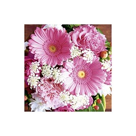 20 Lunch Napkins Gerbera Pink Flowers Birthday 33 cm