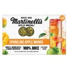 Sparkling Apple Mango Juice, 100% Juice, 8.4 fl oz Cans
