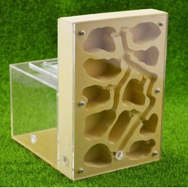 Ant Farm for Live Ants - Large Viewing Area - Natural Learning Toy - Great Gift