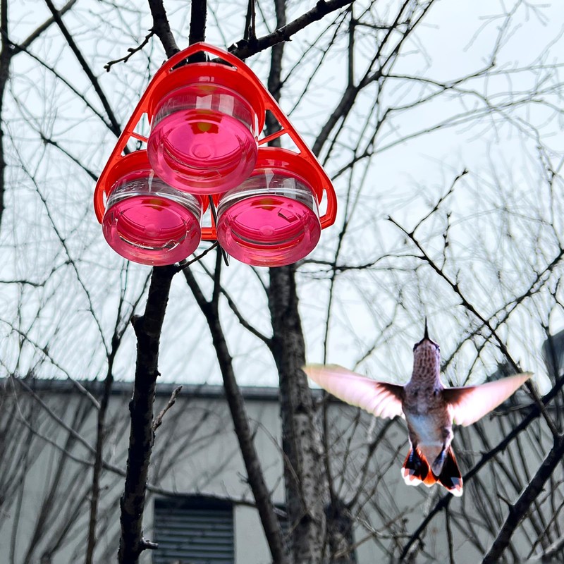3-in-1 Suction Cup Hummingbird Feeder for Window, Outdoor Hanging