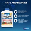 Adios! Fountain Scale Remover for Calcium, Lime and Hard Water