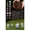 Kyoto Ujitawara Tea House Autumn & Winter Bancha 62 Bags