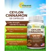 Asquared Nutrition Canela Ceylán Natural 1200mg 120 Cápsulas