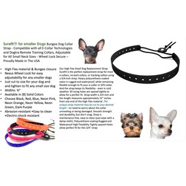 Replacement GPS eCollar with Adjustable Bungee, Multi-Hole Design, and Secure Toggle Closure for Small Dogs (Blue, Small Neck) Reflective