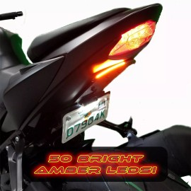 Bikelitez 18-20 Suzuki GSX S750 SX Fender Eliminator W LED Tag Light bracket 2019